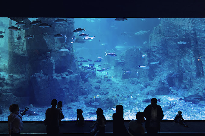 AQUARIUM TOUR & MALL